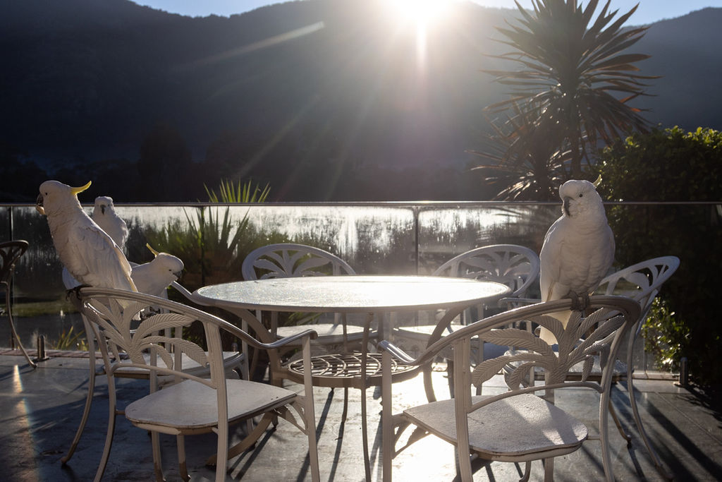 the-views-restaurant-18